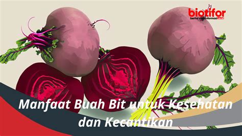 Manfaat Buah Bit Untuk Kesehatan Dan Kecantikan Biotifor