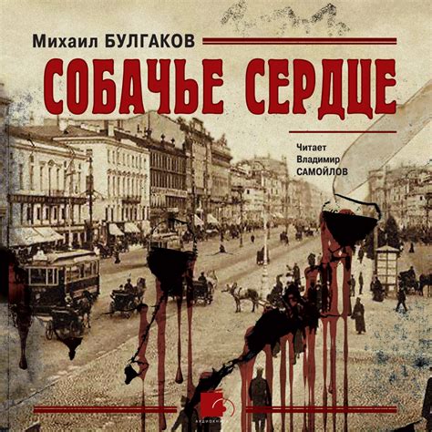 🤕 «Собачье сердце» за 8 минут. Краткое содержание по главам