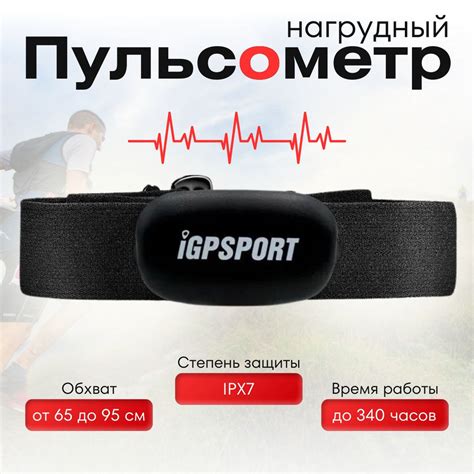 Монитор сердечного ритма iGPSPORT HR40 черный, нагрудный пульсометр ...
