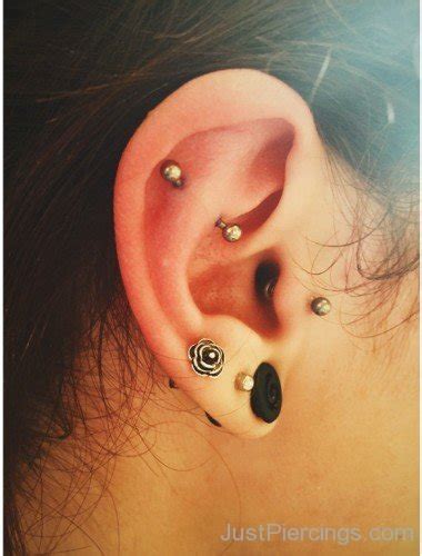 Snug And Rook Piercing Picture