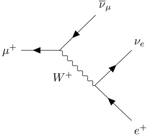 3: (a) Feynman diagram for the decay of a positive muon. (b) Helicity ...