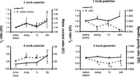 Figure From Correlation Of Cerebral Hypoxic Ischemic T Changes With