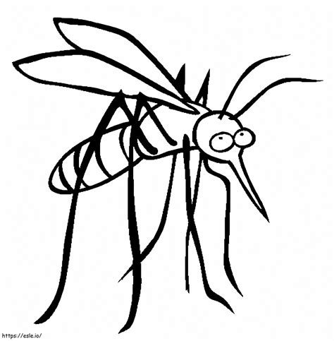 Desenho Do Mosquito Da Dengue Para Colorir E Imprimir - Mosquito Da Dengue Desenho Para Colorir