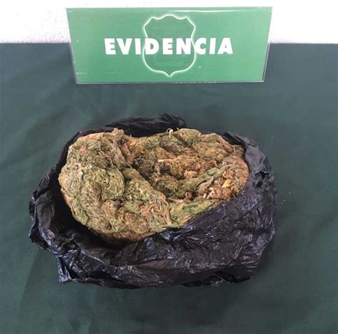 Os De Carabineros Talca Incaut Droga A Pasajero Que Viajaba En Bus