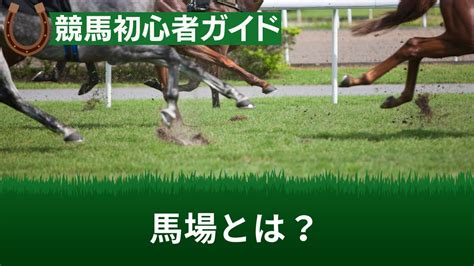 競馬のワイドボックスとは？買い方や点数の出し方・流しやフォーメーションとの違いを解説 馬の達人