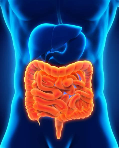 Colon irritable causas síntomas y tratamiento