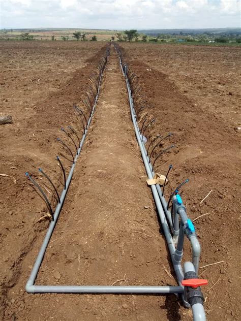 Pro Factory Of Quality Drip Irrigation Tape Plentirain