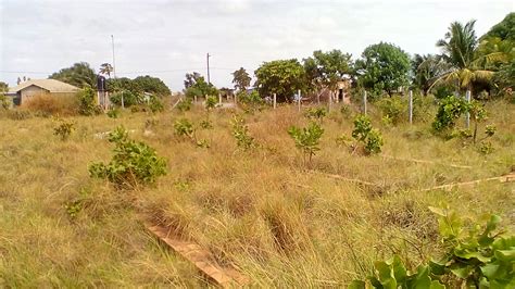 Sold Land For Sale In Lethem Region 9 Guyana South America