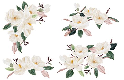 Premium Vector Watercolor White Magnolia Flower And Leaf Bouquet