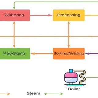 Processing steps in tea manufacturing. | Download Scientific Diagram