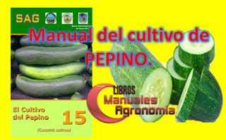 Manual Del Cultivo De PEPINO Pdf Gratis Libros Y Manuales De Agronomia