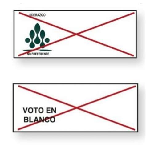 Elecciones Territoriales 2023 Cómo marcar las tarjetas electorales