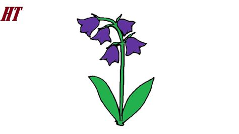 Blue Bell Flower Drawing | Best Flower Site