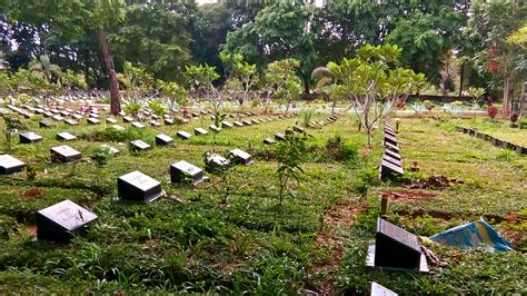 Paling Bagus 29+ Gambar Kebun Bunga Palembang - Gambar Bunga Indah