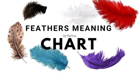 Feathers Meaning And Colors Complete List Karinastarot