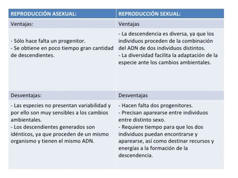 Ventajas Y Desventajas De La Reproducci N Asexual Cuadro Comparativo