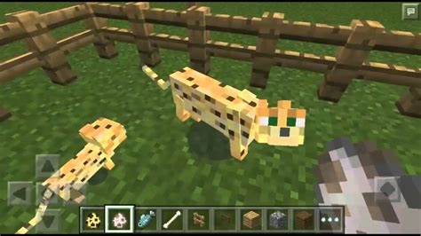 Minecraft Como Domesticar Jaguatirica E Lobo Youtube