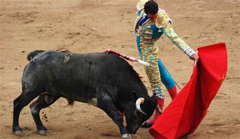 L Interdiction De La Tauromachie Mexico Pourrait Sonner Le Glas De Ce