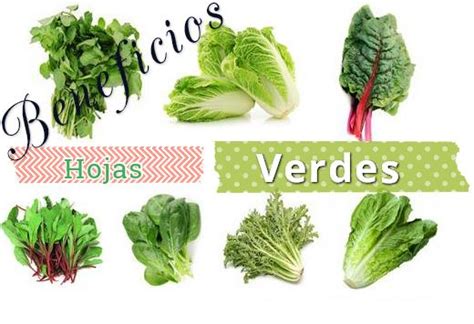 7 Vegetales De Hojas Verdes Mas Nutritivos Para La Salud