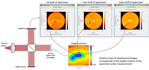 Full Field Optical Coherence Scanning Interferometry Lighttrans