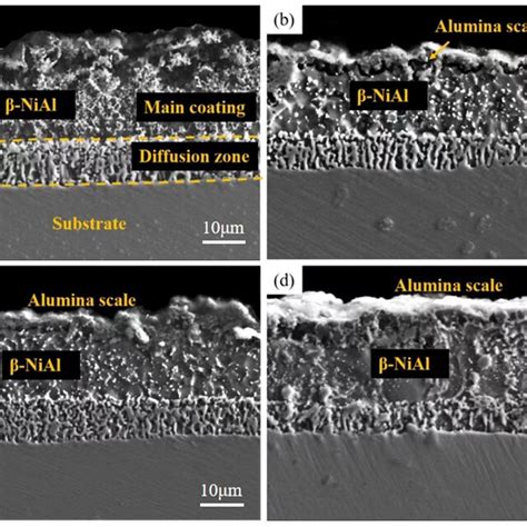 Cross Sectional Morphologies Of Al Si Coatings After Pre Oxidation At