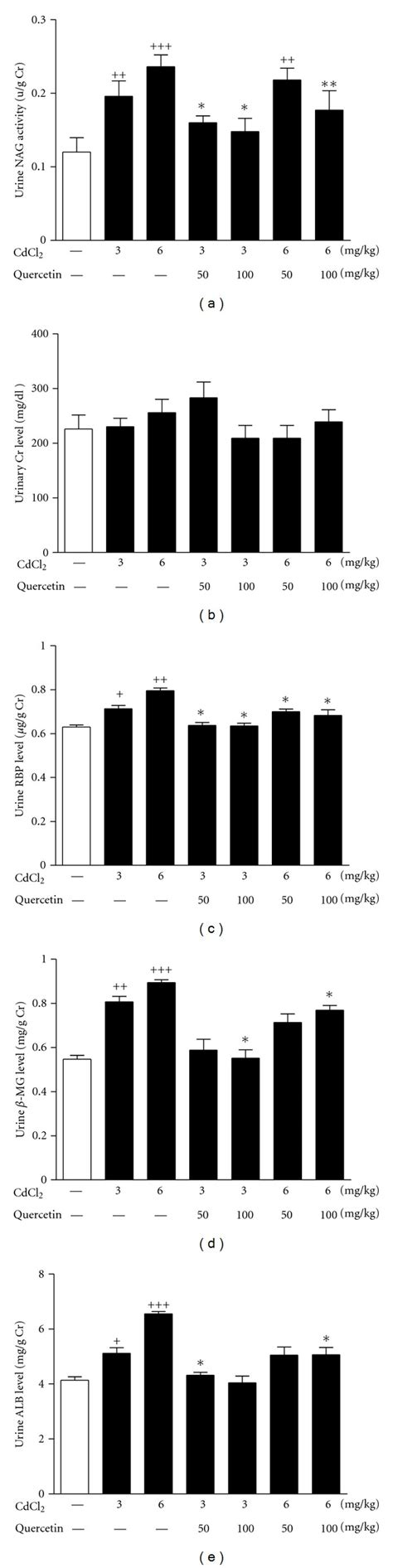 Effects Of A 4 Week Treatment Of CdCl2 And Coadministration Of