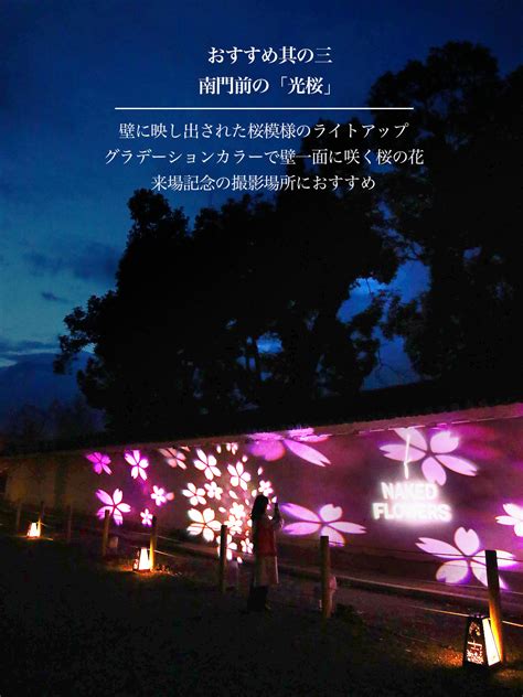 京都二条城で桜のライトアップ NAKED FLOWERS 2023の見どころを紹介