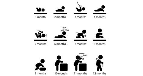 Developmental milestones — What to expect during the first year of your child’s life - Read ...