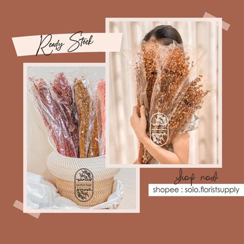 Jual Dried Lino Bunga Kering Asli Natural Buket Bouquet Jequirity