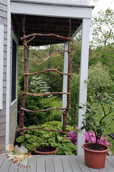 20 Awesome DIY Garden Trellis Projects 2022