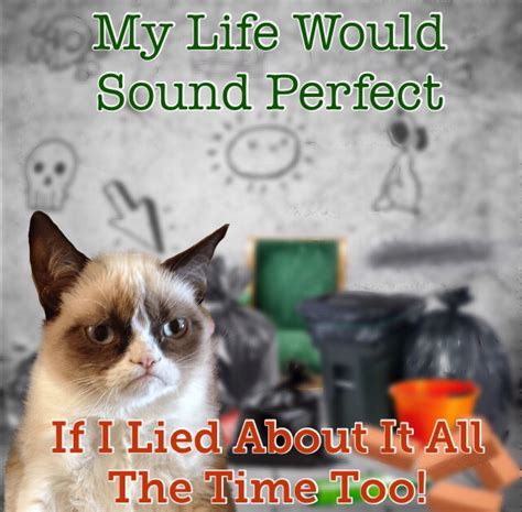 Grumpy Cat Says My Life Would Sound Perfect If I Lied About It All The