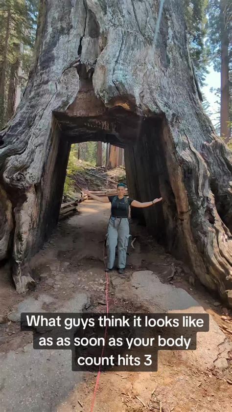 Kit the Beefcake (@kitthebeefcake) - Urlebird