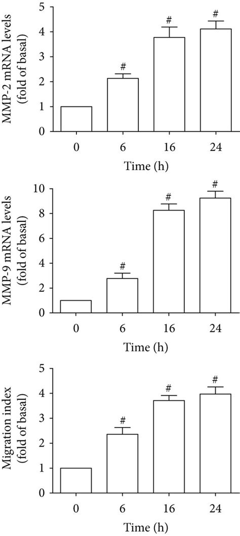 PM Induces MMP 2 And MMP 9 Expression And Cell Migration Via TLR2