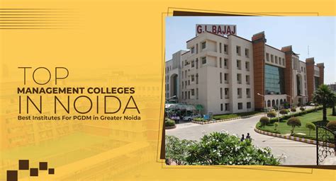 Top Management Colleges in Noida | Best Institutes For PGDM in Greater ...