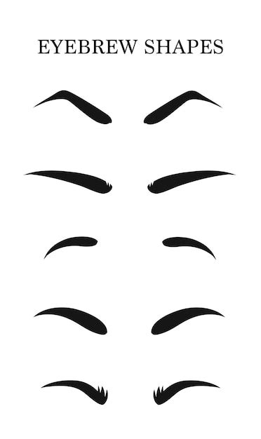 Premium Vector | Eyebrows shapes Set. Various types of eyebrows. Makeup tips. Eyebrow shaping ...