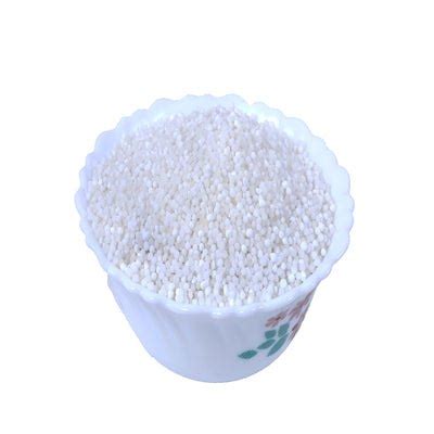 Sabudana Small India Cuisine Sago Seeds Sago Sabudana Seeds