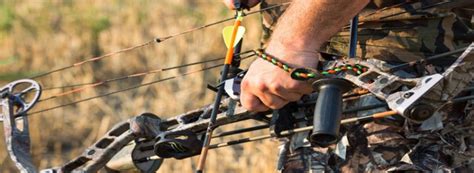 Top 5 Best Compound Bows For Beginners In 2022 Reviews Buying Guide