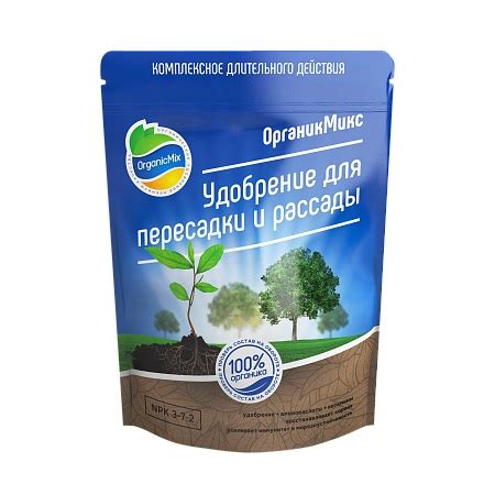 Посадка перца: правила и основные этапы