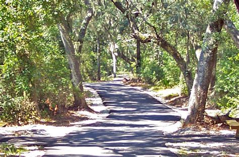 Explore the trails at Gulf State Park - Alabama's Coastal Connection