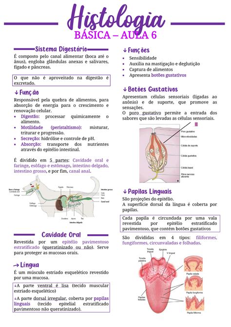 Solution Resumo Histologia B Sica Sistema Digest Rio I Studypool