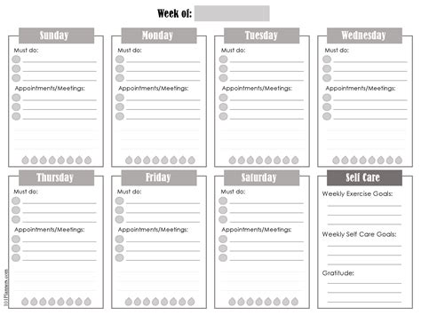 Cute Weekly Schedule Template