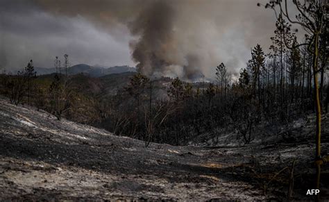 Climate Change Driving Heatwaves Worsening Air Quality United Nations