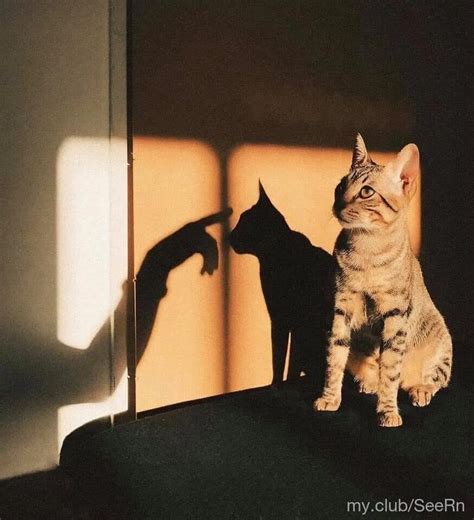 Arn Free Photos Nude Pics XHamster