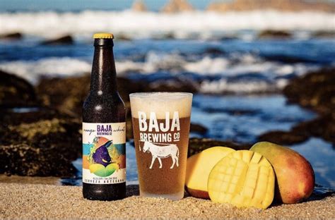 Baja Brewing Un Cono Cervecero De Los Cabos Dapper Magazine