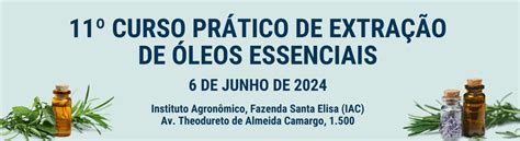 Instituto Agronômico IAC IAC lança cinco variedades de cana alta