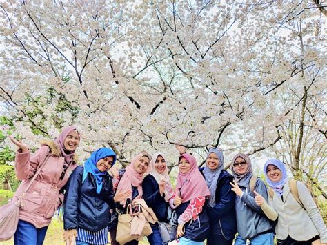 Pakej Korea 2025 Murah & HALAL Dari RM3897 (Flight + VISA)