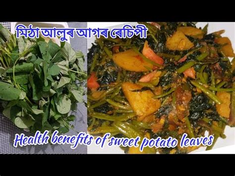 Health Benefits I Sweet Potato Leaves Recipe I Recipe In Assamese By