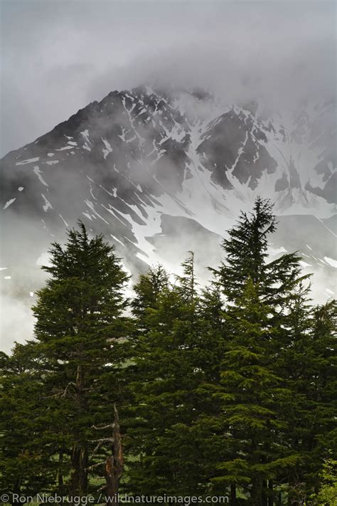 Chugach National Forest | Photos by Ron Niebrugge