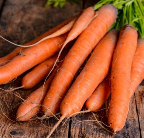 Carrot Archives Dave S Seed