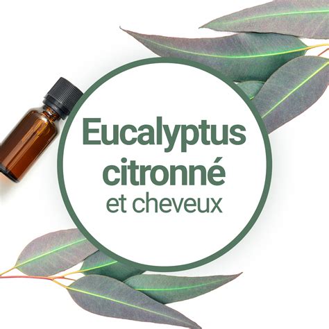 Lhuile Essentielle Deucalyptus Citronn A T Elle Des Bienfaits Pour